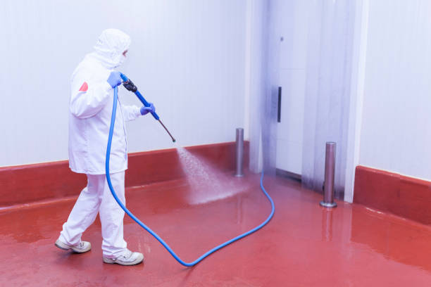 Best Roof Washing  in Alvarado, TX